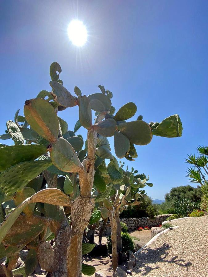 B&B Anastasia Santa Teresa Gallura Exterior photo