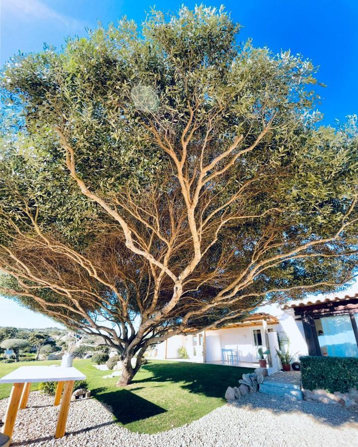 B&B Anastasia Santa Teresa Gallura Exterior photo